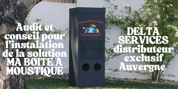 Nettoyage de toiture à la vapeur (12)