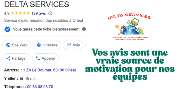 Nettoyage de toiture à la vapeur (8)